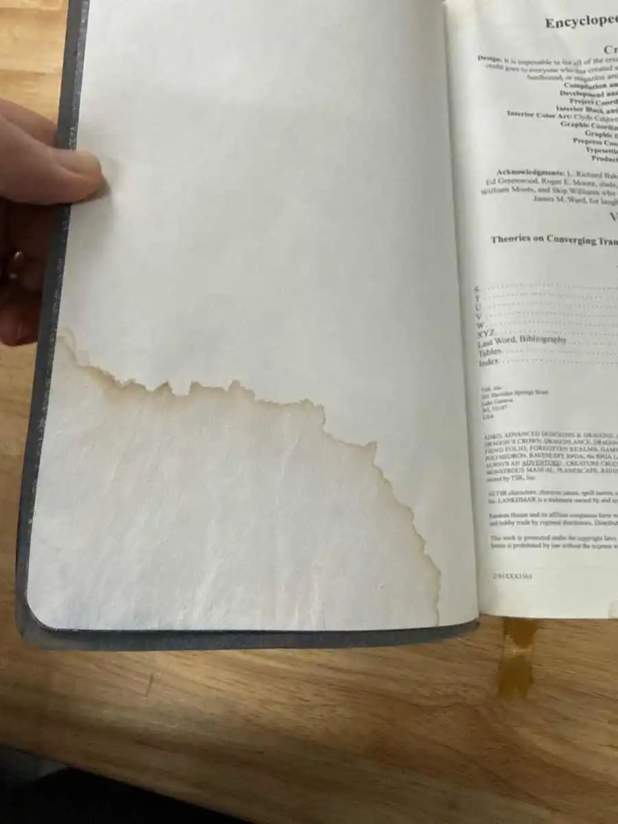 Encyclopedia Magica Volume 4