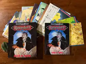 #20 AD&D Ravenloft Realm Of Terror Boxset #1053