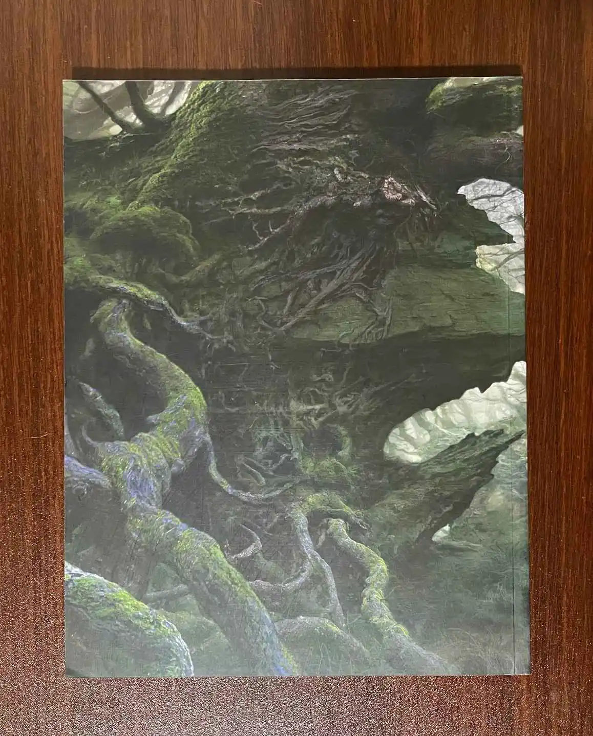 Adventures over the Edge of the Wild