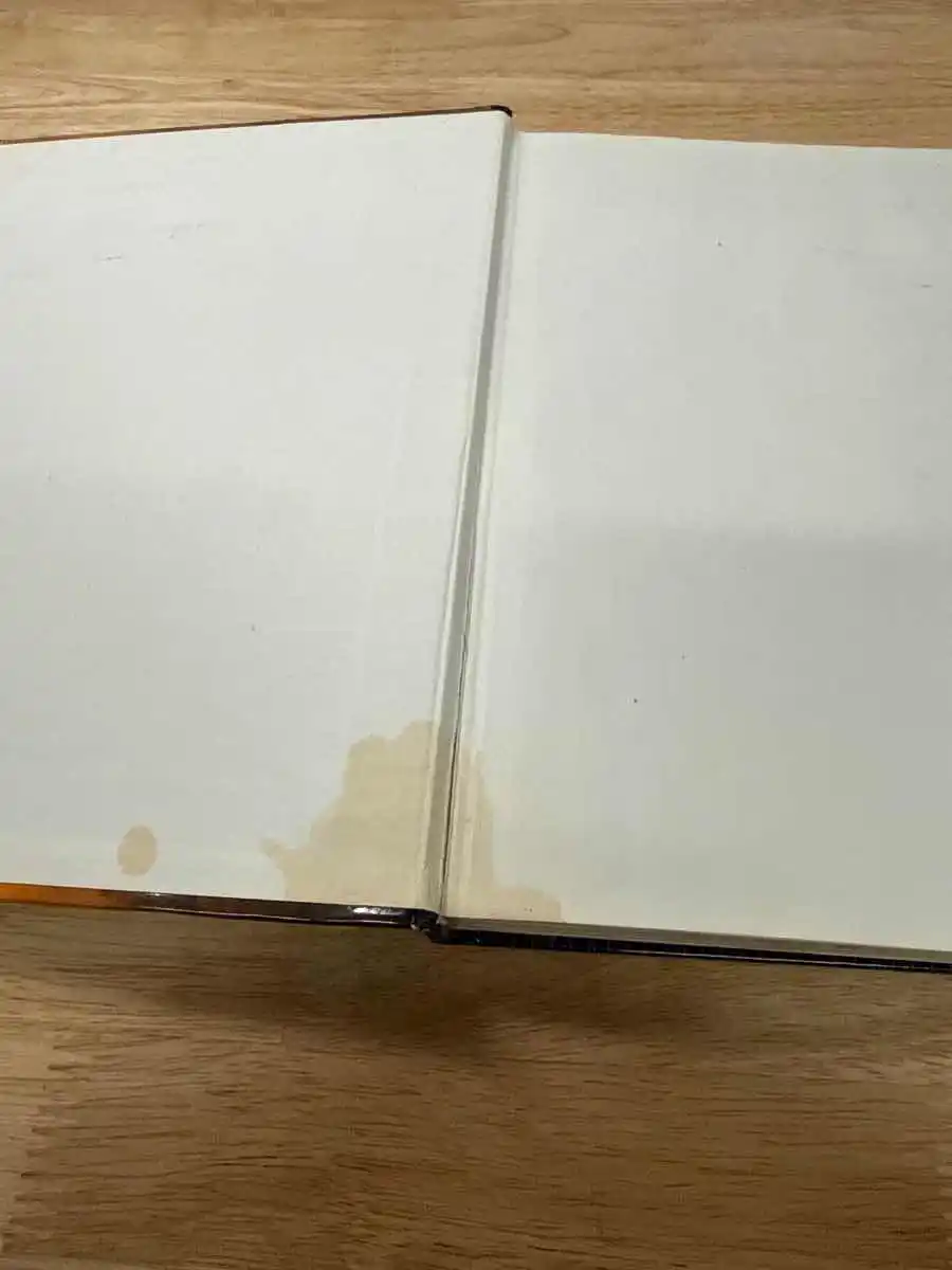 Player’s Handbook
