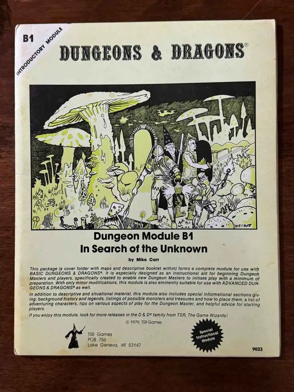 #24 AD&D B1 In Search of the Unknown - Mono