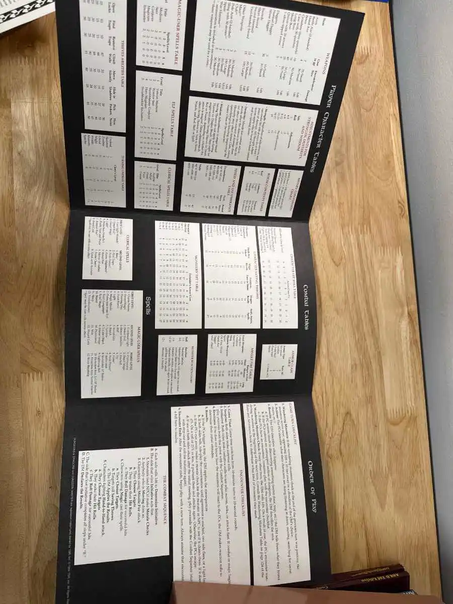 Classic Dungeons and Dragons Game