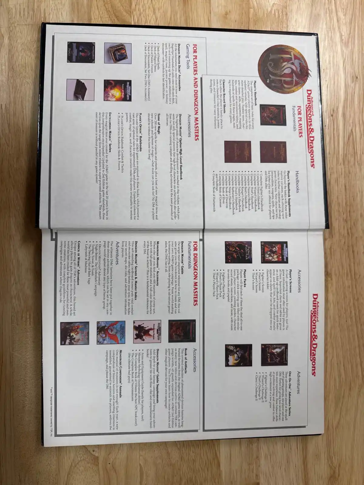DUNGEON MASTER Option: High-Level Campaigns