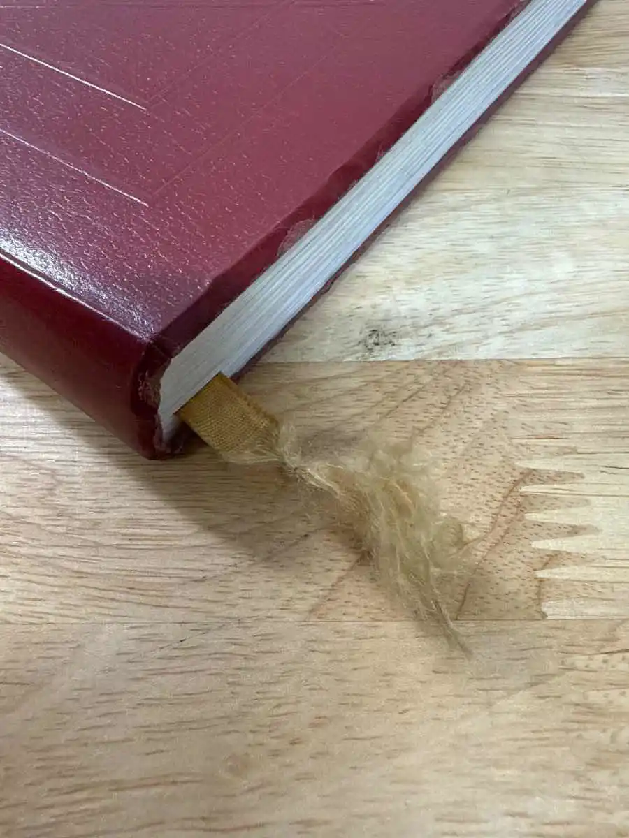 Encyclopedia Magica Volume 2