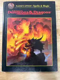 PLAYER’S OPTION: Spells & Magic