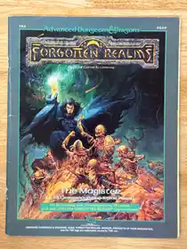 Forgotten Realms The Magister