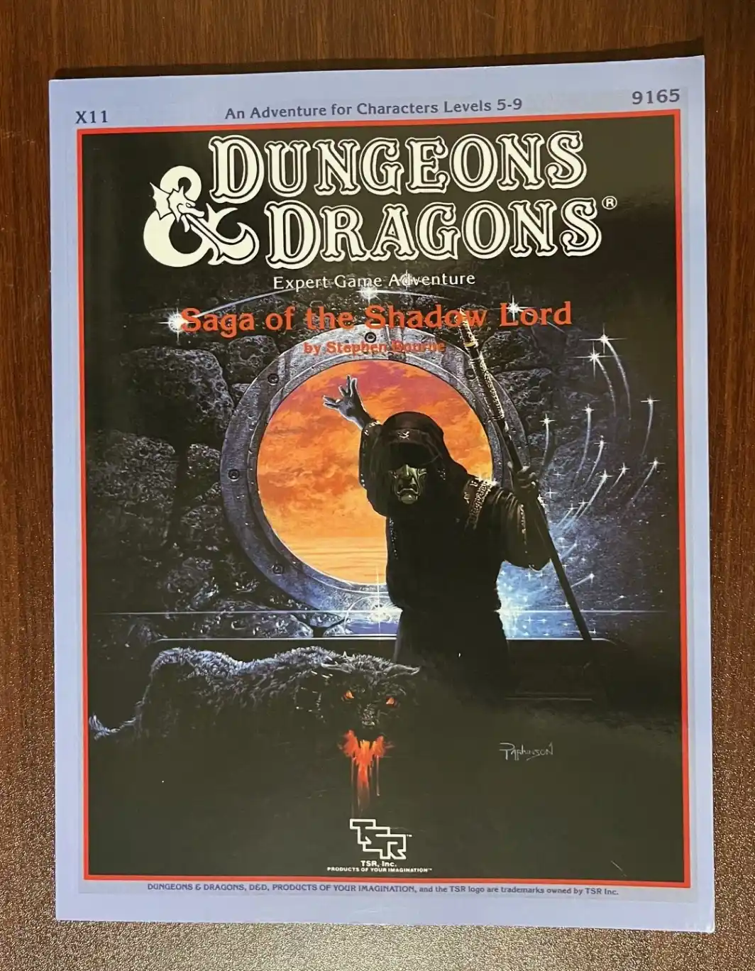 Saga of the Shadow Lord