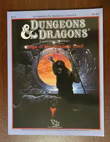 Saga of the Shadow Lord