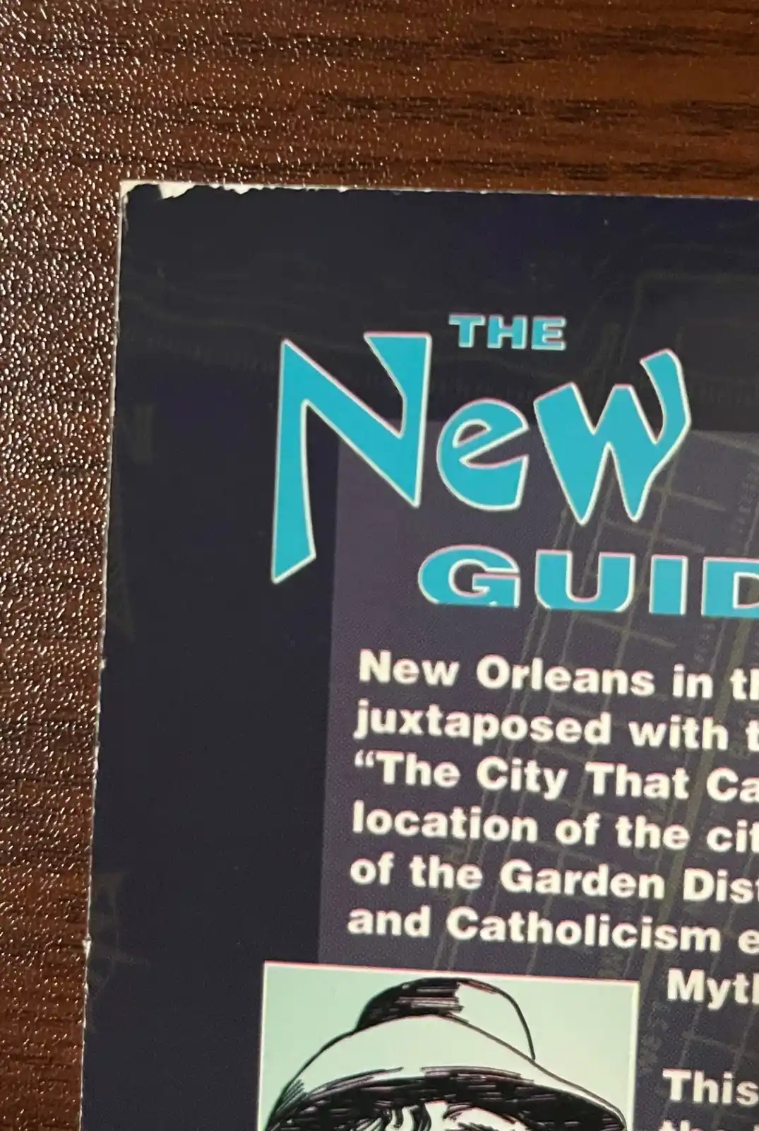 The New Orleans Guidebook