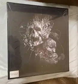 Echoes of Renaissance - Collector's Box