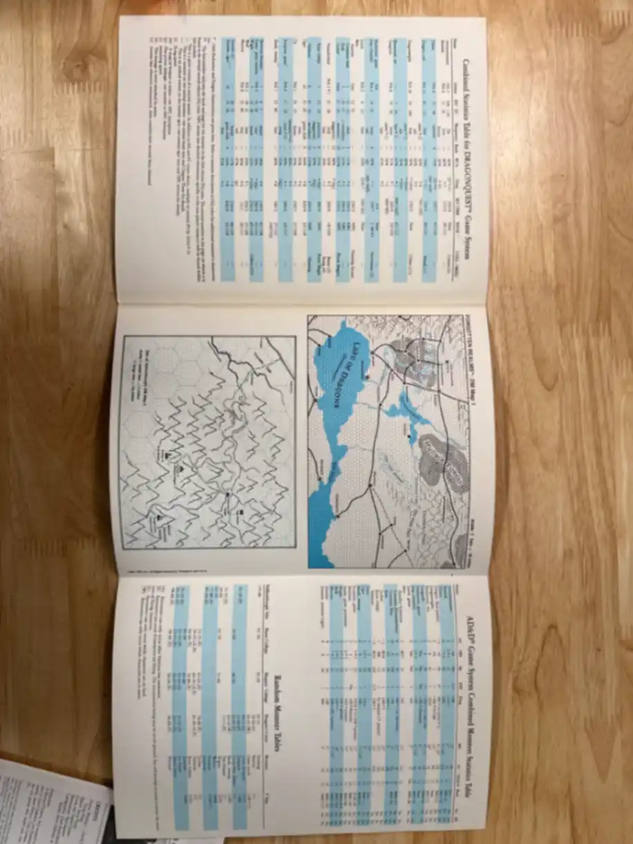 The Shattered Stone DQ1