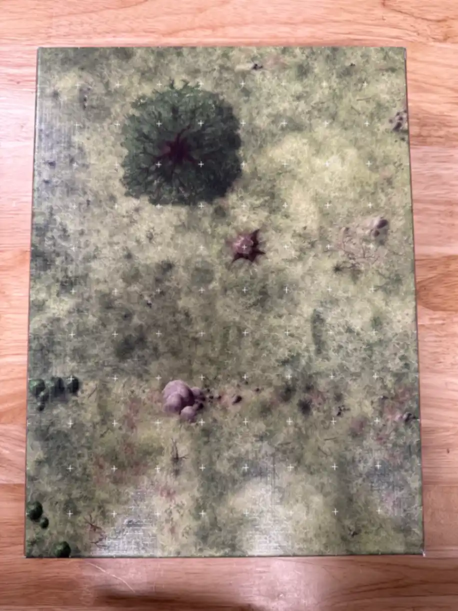 D&D DUNGEON TILES REINCARNATED: WILDERNESS