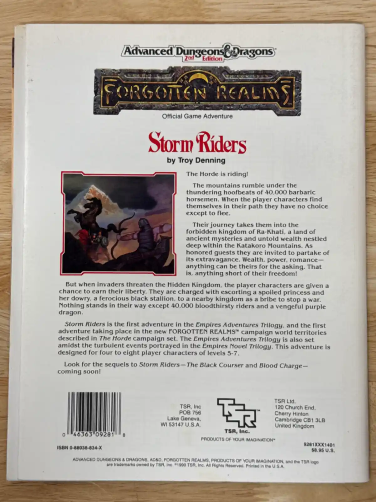 Forgotten Realms Storm Riders