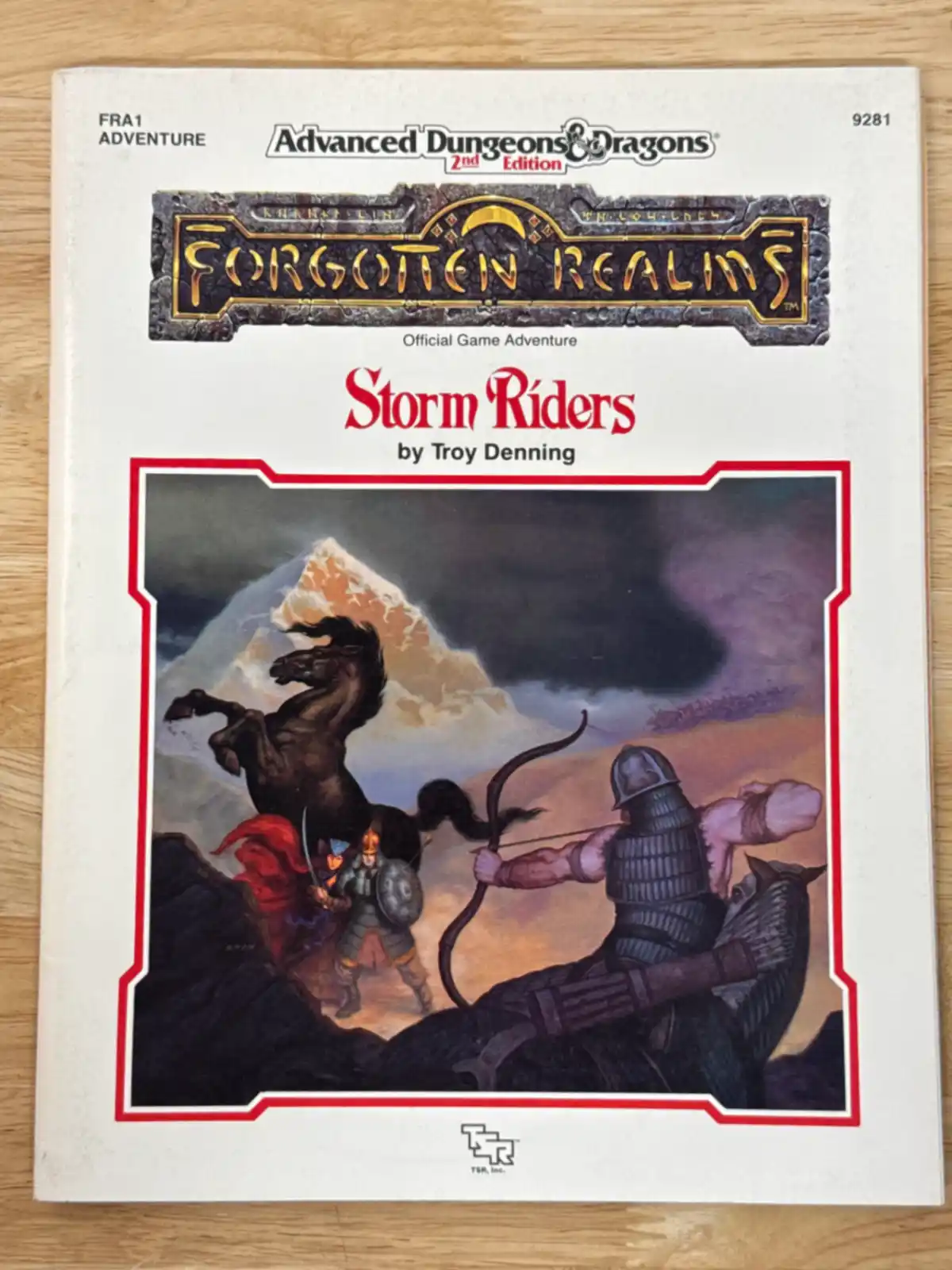 Forgotten Realms Storm Riders